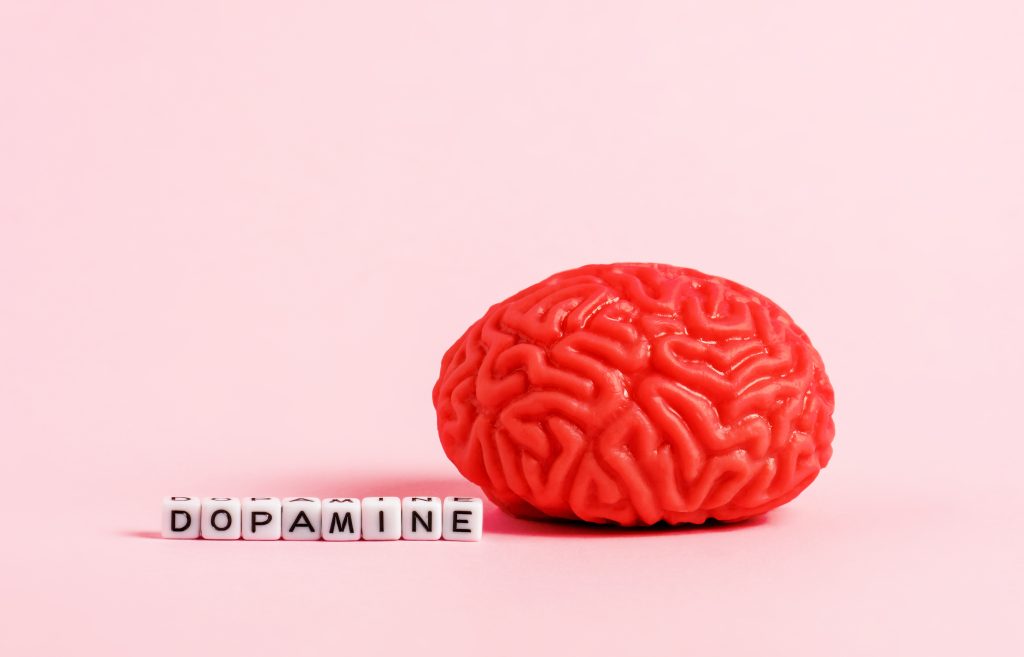 Dopamine - Wikipedia